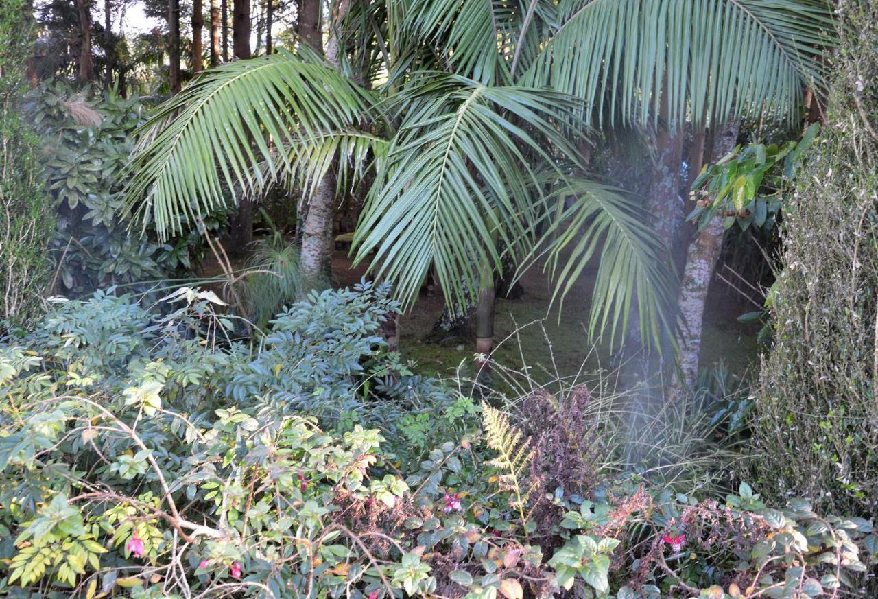 Quinta De Santana - Queimadas ฟูร์นัส ภายนอก รูปภาพ